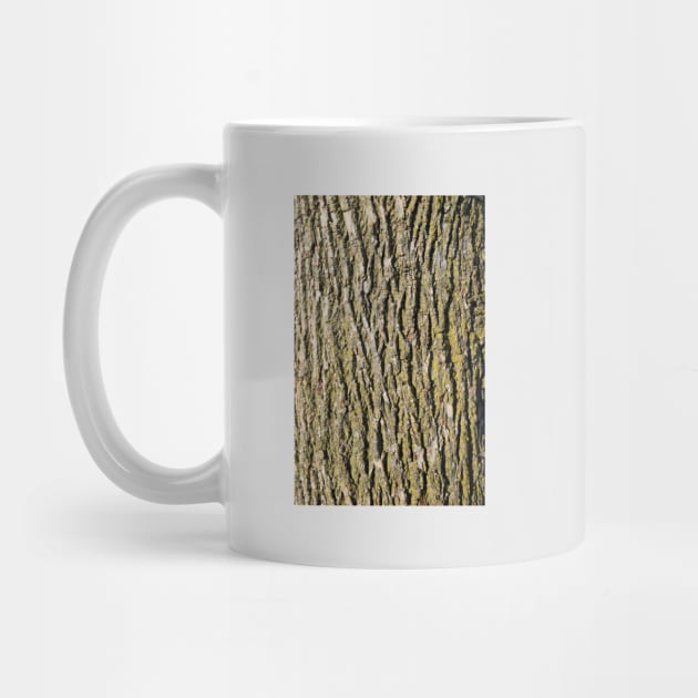 Tree Bark, Wood Grain for a Rustic Look by Tenpmcreations